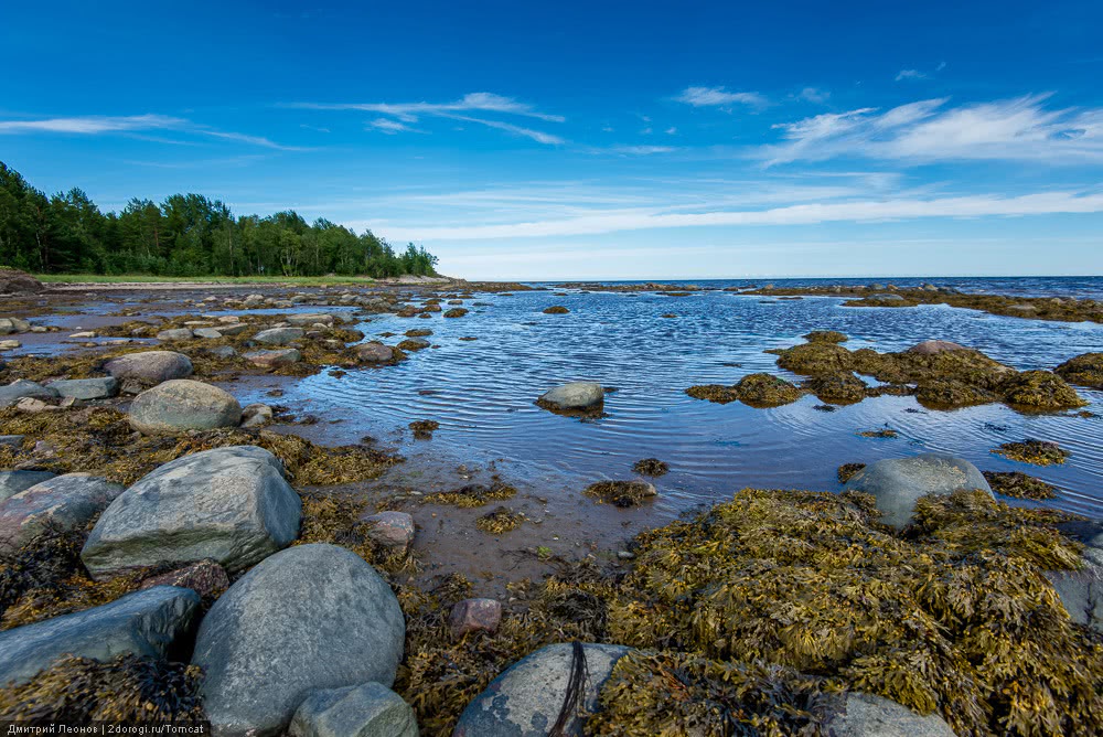 Берег белого моря. Белое море Карелия. Умба белое море. Берег белого моря Карелия. Архангельск берег белого моря.